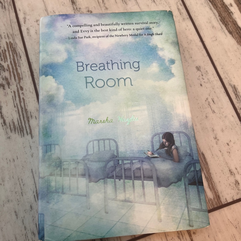 Breathing Room by Marsha Hayles – Gently Used Hardcover, 244 Pages, Young Adult